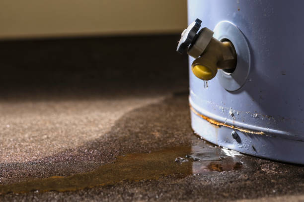 Best Water damage restoration cost  in Annapolis Neck, MD