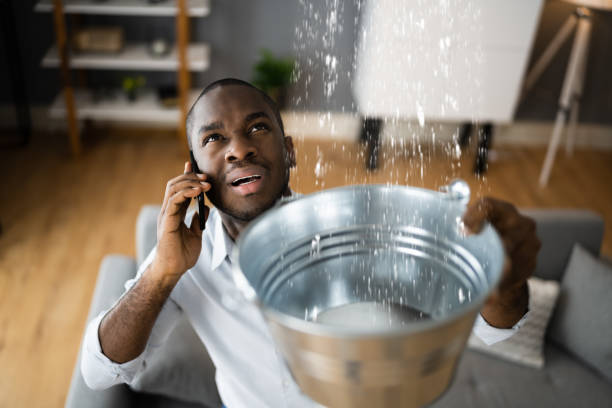 Best Water damage restoration near me  in Annapolis Neck, MD