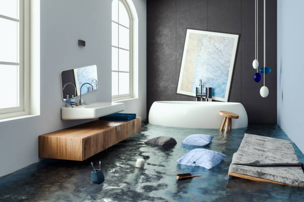Best 24-hour water damage restoration  in Annapolis Neck, MD
