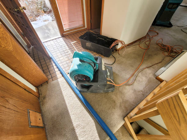 Best Ceiling water damage repair  in Annapolis Neck, MD