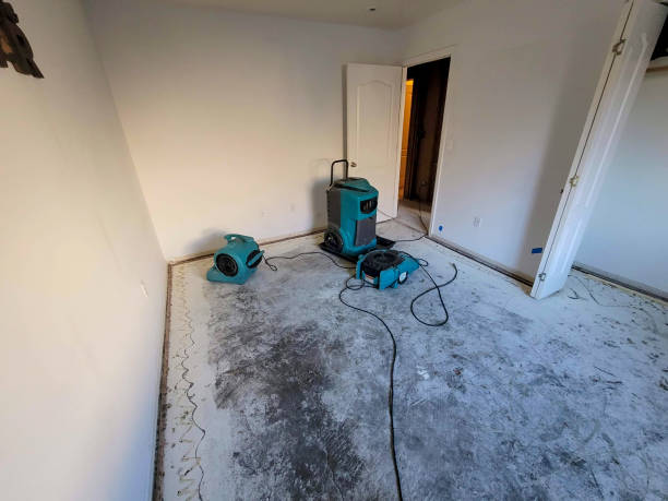 Best Sewage cleanup and water damage restoration  in Annapolis Neck, MD