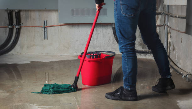 Best Water damage restoration near me  in Annapolis Neck, MD