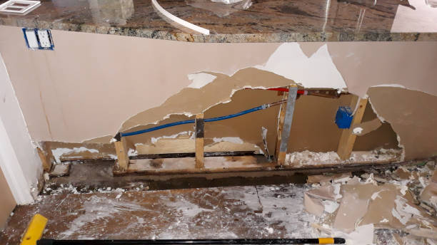 Best Local water damage restoration  in Annapolis Neck, MD