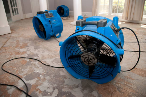 Water damage restoration mold remediation in Annapolis Neck, MD