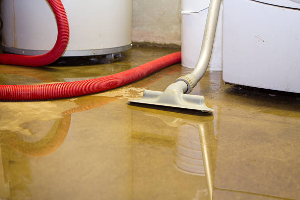  Annapolis Neck, MD Water damage restoration Pros