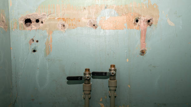 Trusted Annapolis Neck, MD Water damage restoration Experts