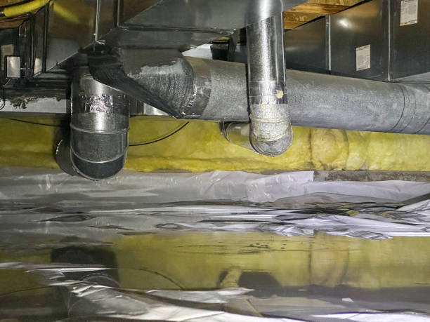 Best Water damage restoration near me  in Annapolis Neck, MD