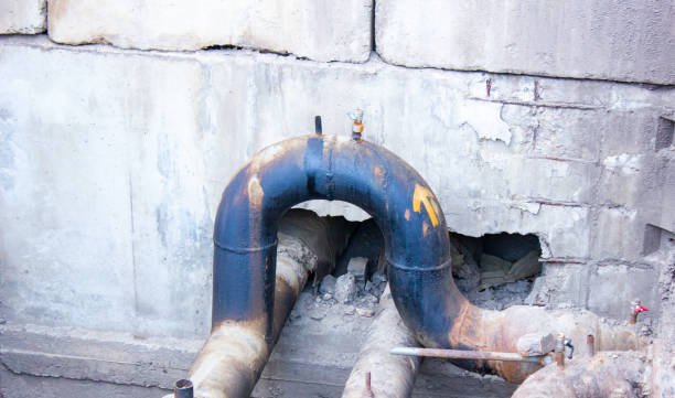 Best Basement water damage restoration  in Annapolis Neck, MD