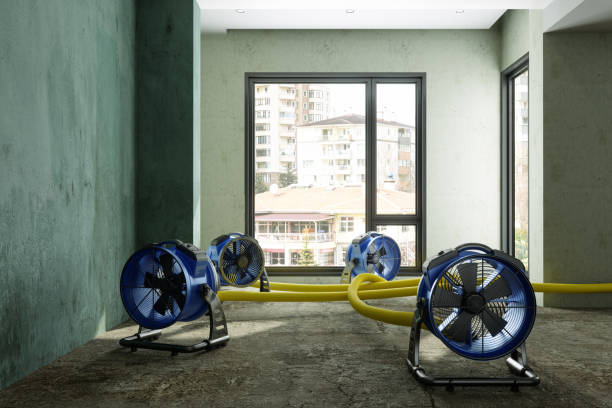 Best Water damage cleanup near me  in Annapolis Neck, MD